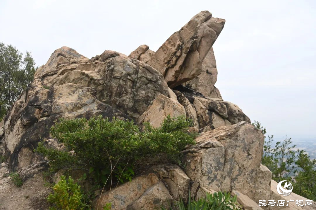 ?探秘泌陽羅漢山：藏在山野間的詩意秘境