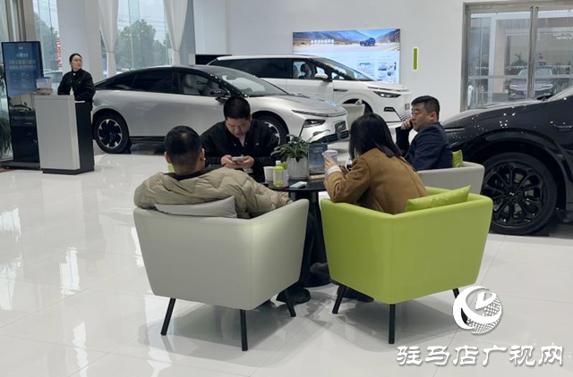 駐馬店:新能源汽車市場(chǎng)持續(xù)火熱 政策技術(shù)雙輪驅(qū)動(dòng)消費(fèi)增長