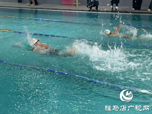 老中青幼同池競(jìng)技 駐馬店社區(qū)游泳賽展全民健身活力
