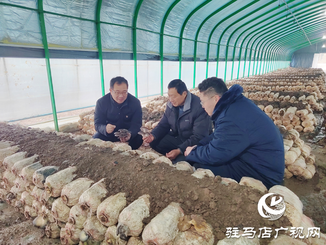 奮楫揚帆啟新程 凝心聚力向未來&mdash;&mdash;2026年新年愿景