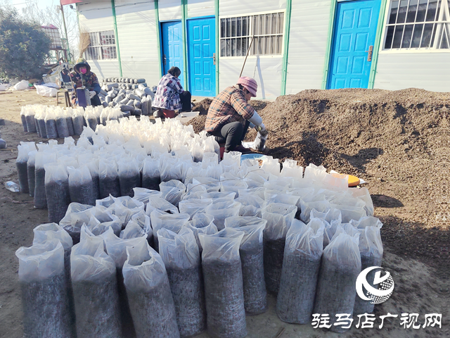 新春走基層丨新歲啟封，聽他們說……