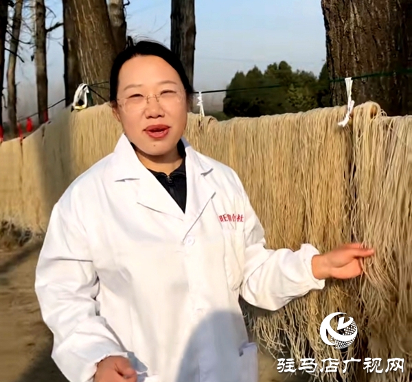 扎根鄉(xiāng)土守初心 產(chǎn)業(yè)興農(nóng)促振興——平輿縣人大代表馮敏履職盡責(zé)助力鄉(xiāng)村發(fā)展