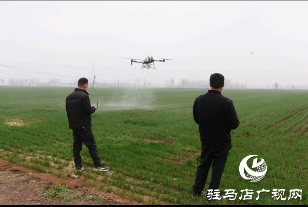 平輿縣：搶抓農(nóng)時促春管 科學(xué)管理促豐收