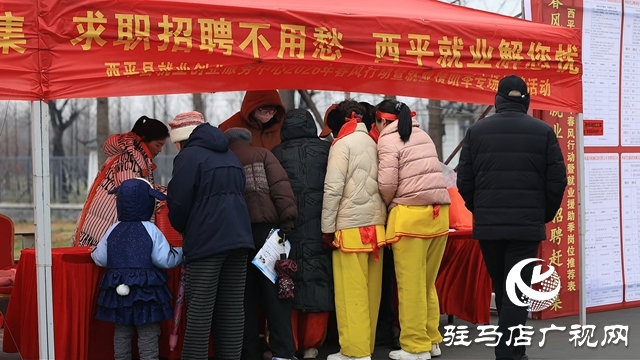  非遺鬧元宵&middot;西平縣第43屆大銅器展演暨春風(fēng)送崗活動(dòng)隆重舉辦