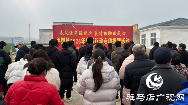 平輿縣人社局:春風(fēng)送崗促就業(yè) 專項招聘暖民心