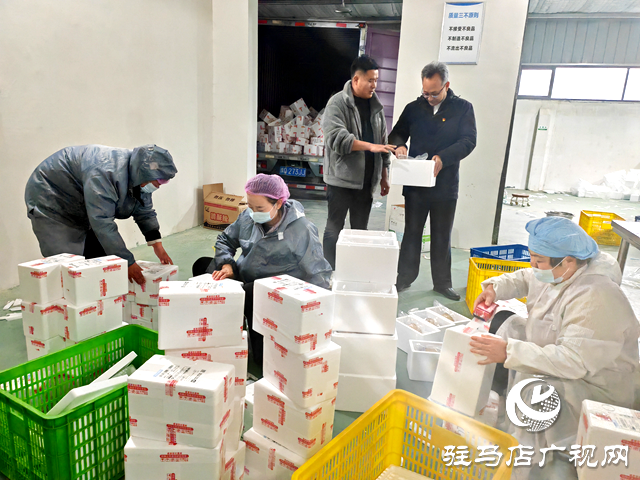 徐林付:用實(shí)干與真情書寫振興答卷