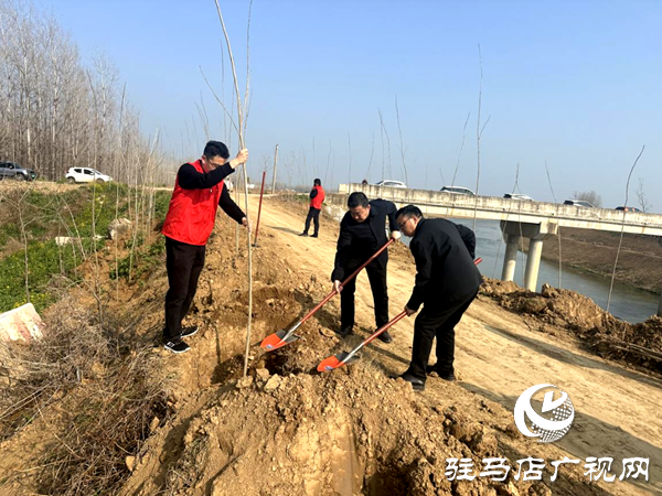 平輿縣射橋鎮(zhèn):植此青綠繪春色 共筑生態(tài)新家園