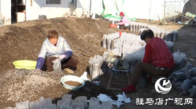 【第一書(shū)記話振興】黃云龍：扎根基層守初心 振興路上踐使命