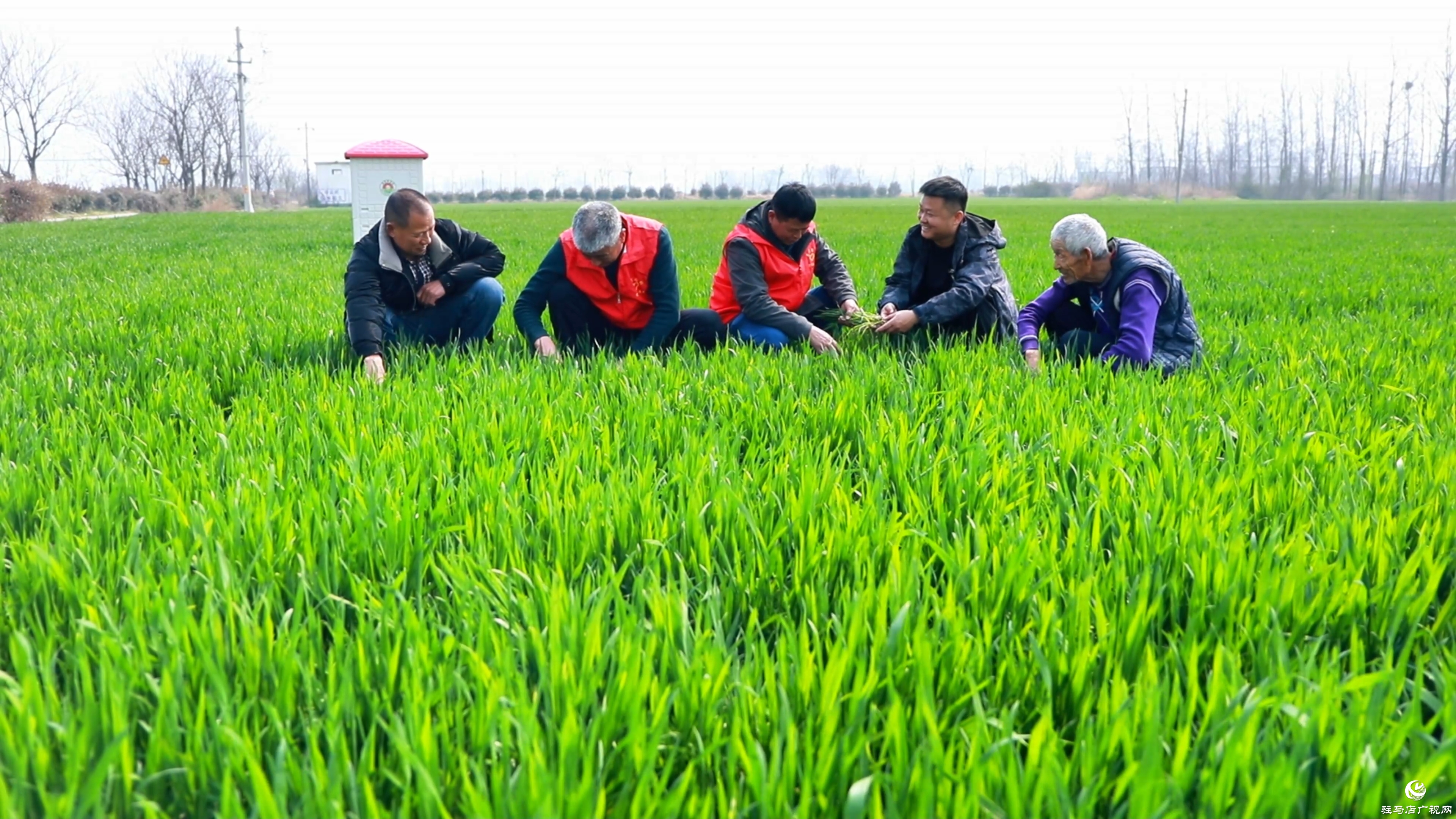 駐村第一書記鄭?。阂I(lǐng)農(nóng)產(chǎn)品“花式”出村 蹚出鄉(xiāng)村振興“遍地開花”路