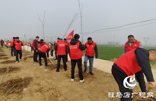 驛城區(qū)開(kāi)展青年志愿者植樹(shù)活動(dòng) 百株新苗添綠美麗驛城