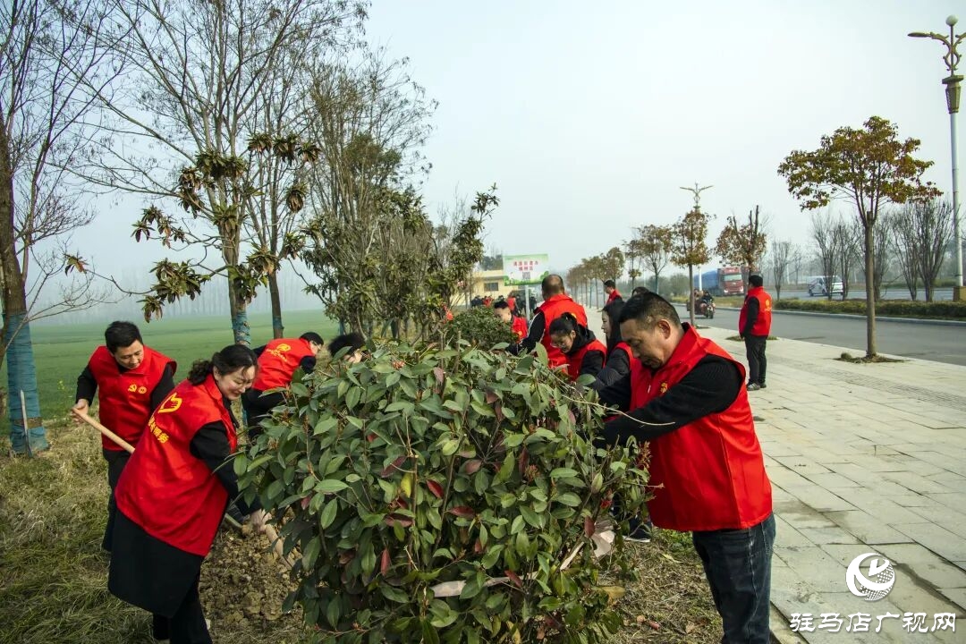 正陽(yáng)縣清源街道：志愿紅輝映高速路?全員攜手植新綠