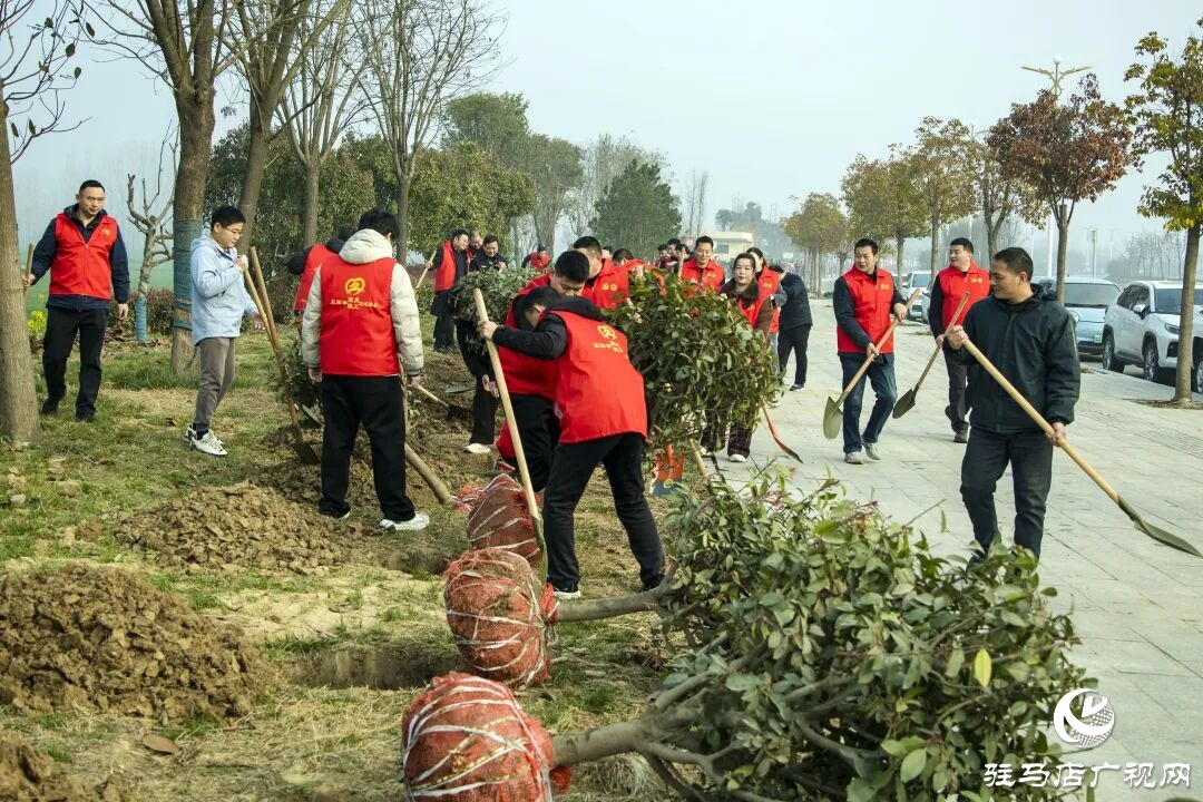 正陽(yáng)縣清源街道：志愿紅輝映高速路?全員攜手植新綠