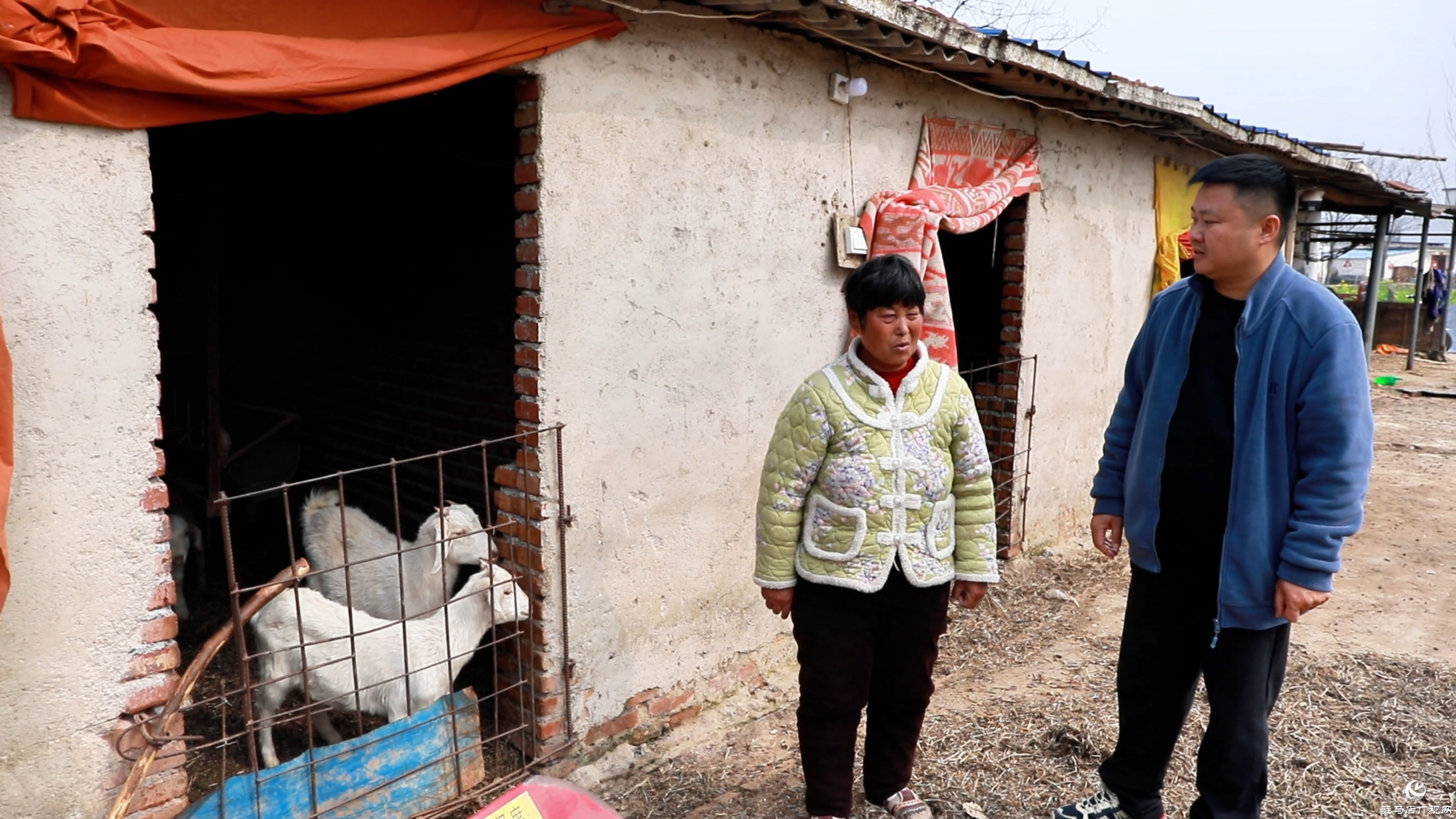 駐村第一書記鄭俊：引領(lǐng)農(nóng)產(chǎn)品“花式”出村 蹚出鄉(xiāng)村振興“遍地開花”路