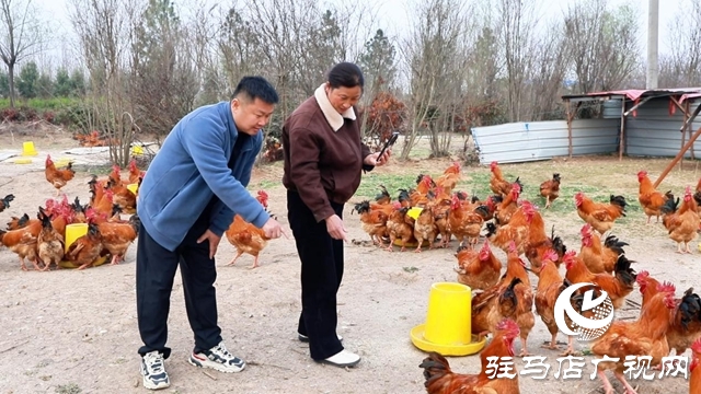 【第一書記話振興】鄭俊：讓土特產(chǎn)“觸電” 讓村集體“增厚”