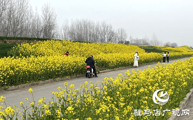 春暖花開噴嚏不斷？專家支招科學(xué)應(yīng)對(duì)花粉過敏