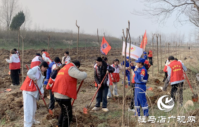 驛城區(qū):揮鍬培土播新綠 志愿精神扎根“驛城好人林”