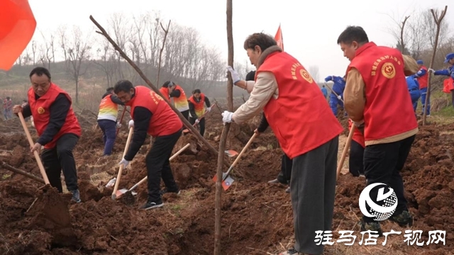 驛城區(qū)：植樹增綠當先鋒 共繪生態(tài)新圖景