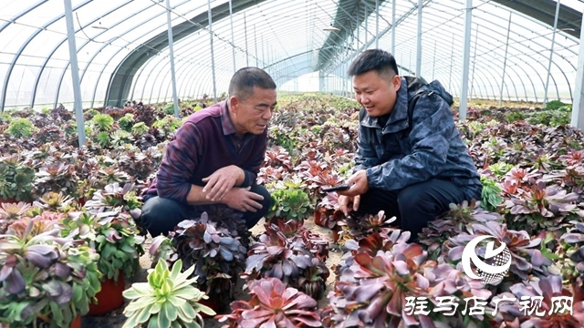 【第一書記話振興】鄭俊：讓土特產(chǎn)“觸電” 讓村集體“增厚”