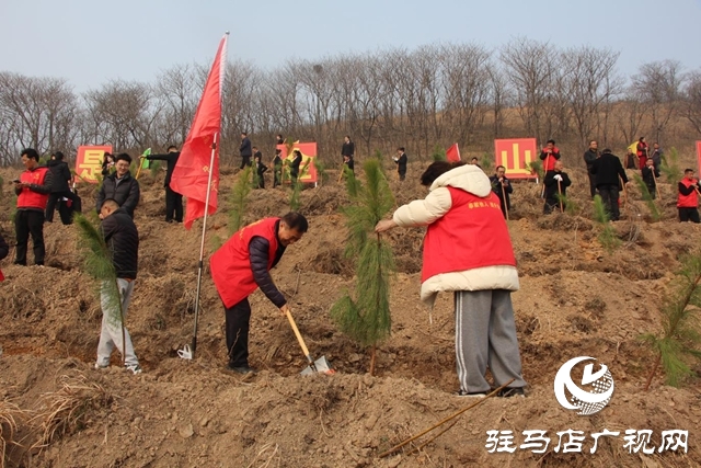 確山縣：春潮涌動(dòng)植新綠