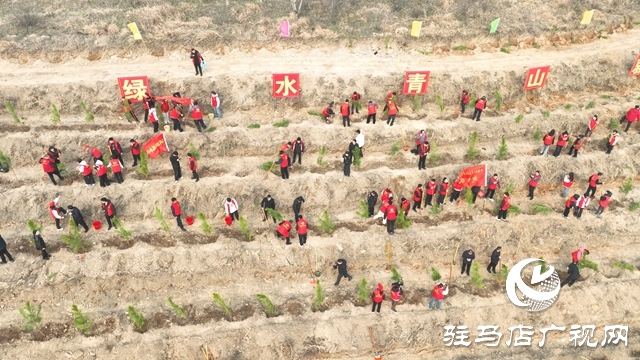 確山縣：春潮涌動(dòng)植新綠