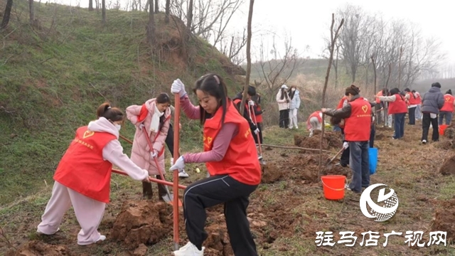 驛城區(qū)：植樹增綠當先鋒 共繪生態(tài)新圖景