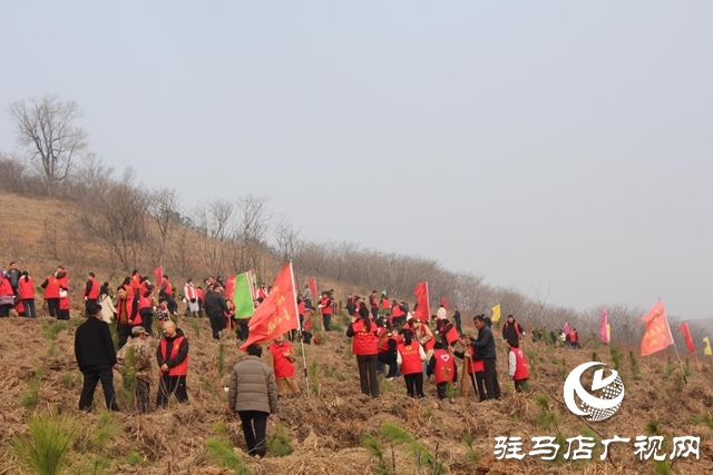 確山縣：春潮涌動(dòng)植新綠