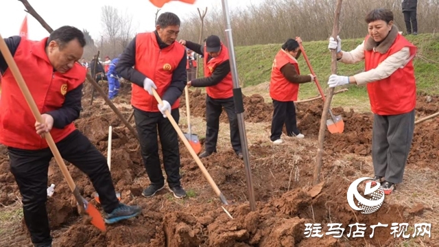 驛城區(qū)：植樹增綠當先鋒 共繪生態(tài)新圖景